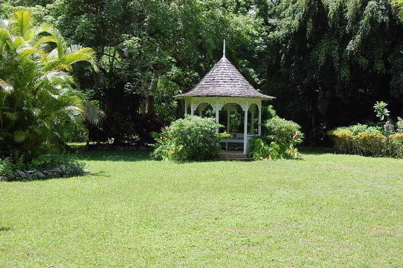 Inn At Shaw Park Gardens & Waterfalls Ocho Ríos Exterior foto