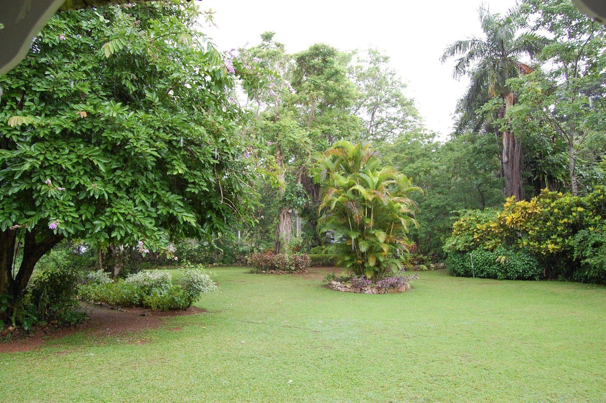 Inn At Shaw Park Gardens & Waterfalls Ocho Ríos Exterior foto