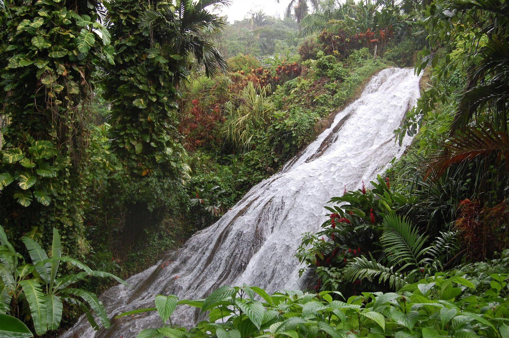Inn At Shaw Park Gardens & Waterfalls Ocho Ríos Exterior foto